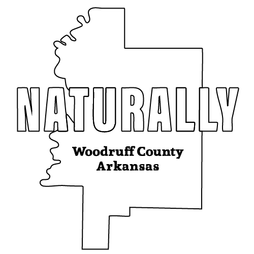 Visit Woodruff County